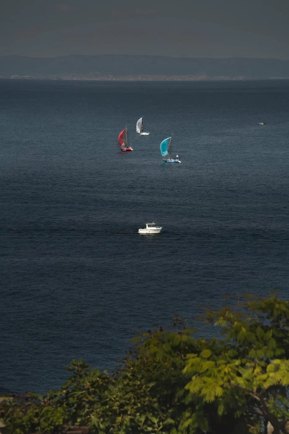 Sozopol Sailing Cup 2026 — Регата