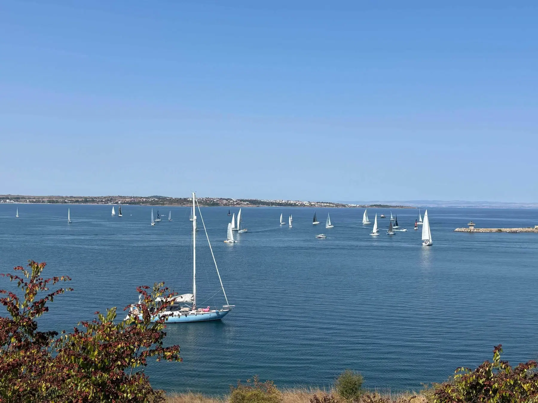 Sozopol Sailing Cup 2026 — Регата